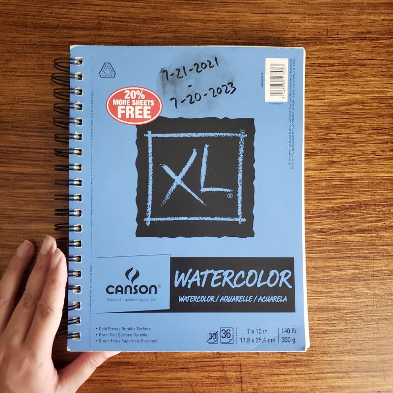 LG DS #7: Canson Watercolor