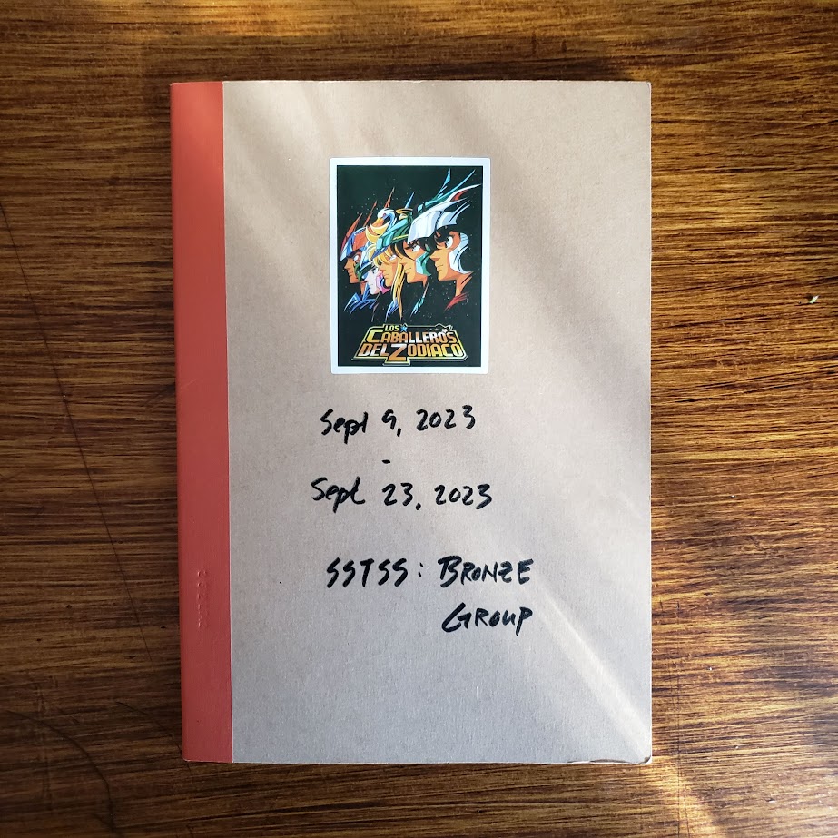 SSTSS: DS #17 Bronze Group